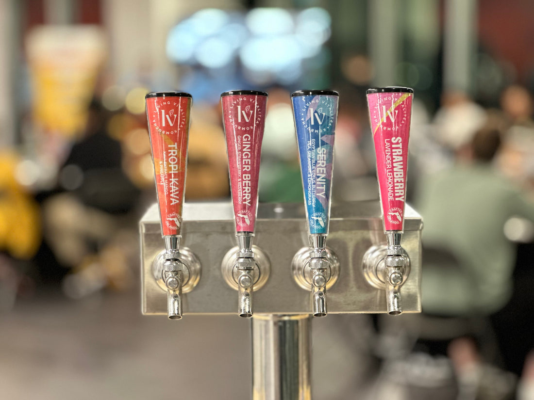 Why should I drink Kombucha?