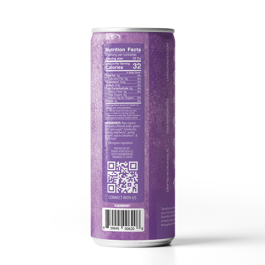 6. Elderberry Kombucha (12 Pack)