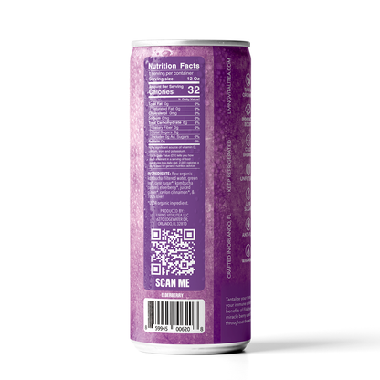 6. Elderberry Kombucha (12 Pack)