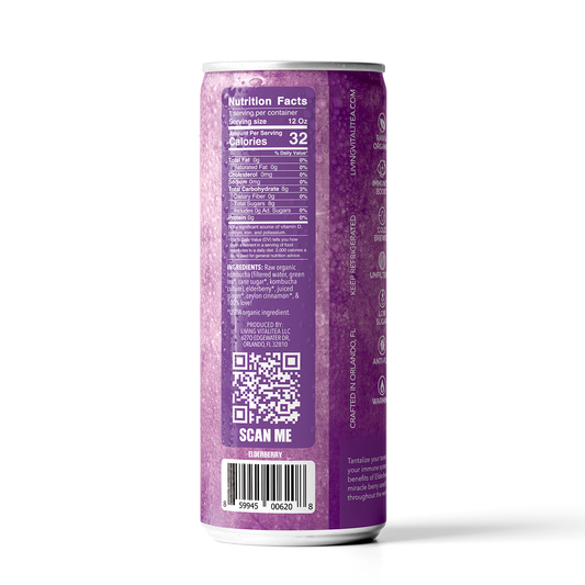 6. Elderberry Kombucha (12 Pack)