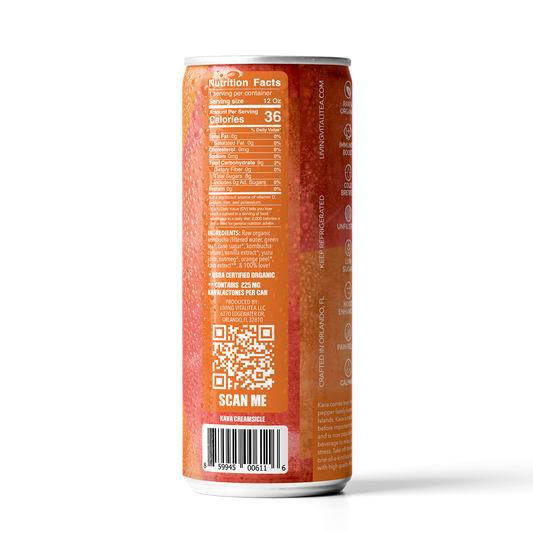 8. Ka va Creamsicle Organic Kombucha (12 Pack)